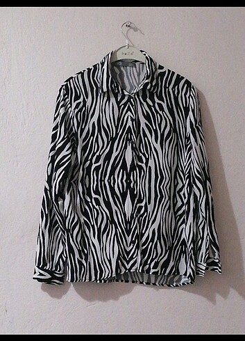 Zebra gömlek 