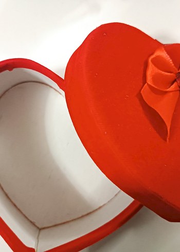 Kırmızı Erkek Papyon - Görsel 2