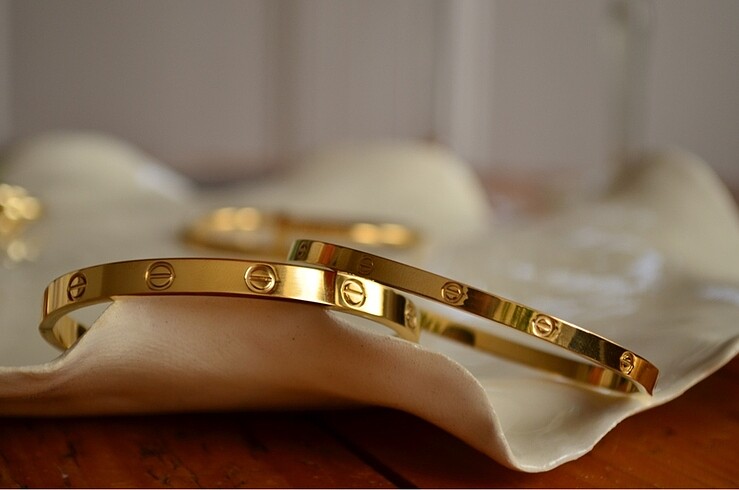 Cartier 2 li bileklik
