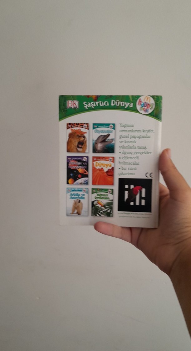 Yağmur Ormanları Çocuk Kitabı - Görsel 2