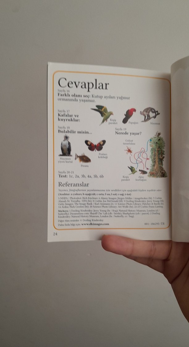 Yağmur Ormanları Çocuk Kitabı - Görsel 3