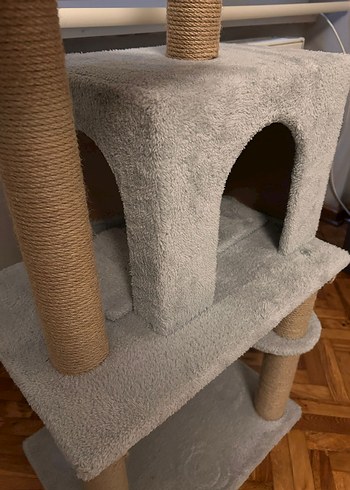 Kedi Evi-Oyun Alanı - Görsel 4