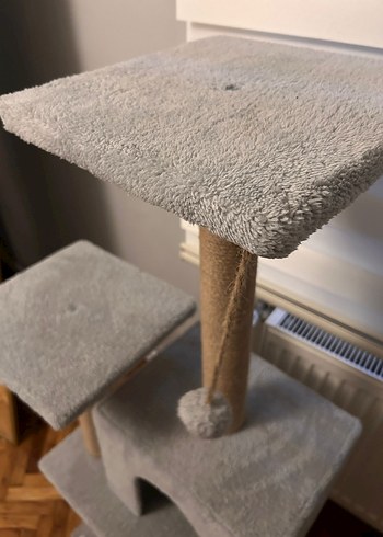 Kedi Evi-Oyun Alanı - Görsel 5