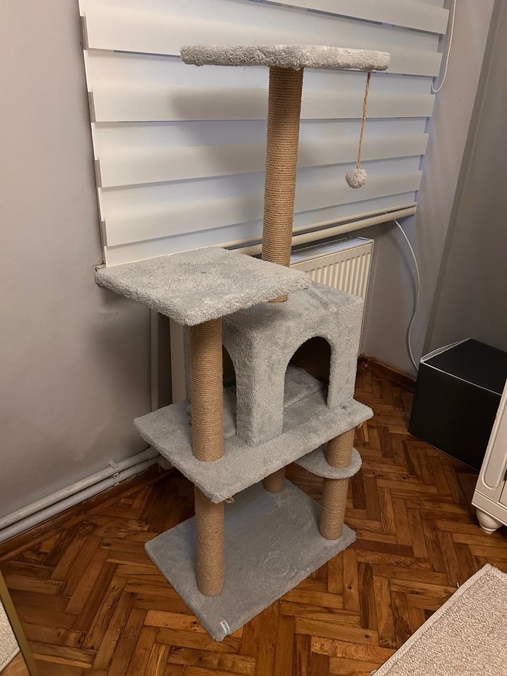 Kedi Evi-Oyun Alanı - Görsel 3