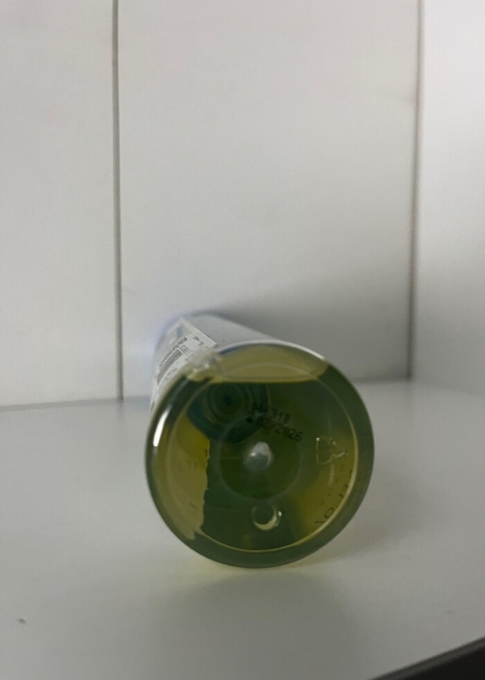 vücüt yağı - Görsel 3