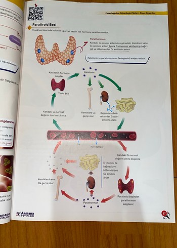 11. Sınıf Biyoloji Konu Kitabı HİÇ KULLANILMAMIŞ - Görsel 4
