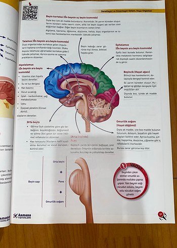 11. Sınıf Biyoloji Konu Kitabı HİÇ KULLANILMAMIŞ - Görsel 3