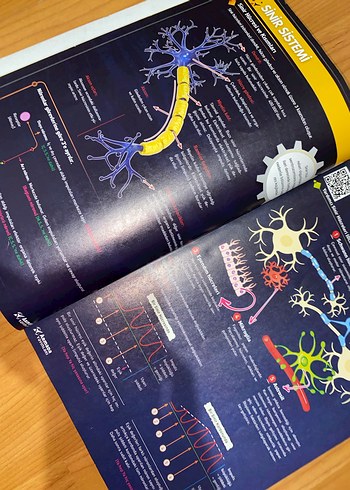 11. Sınıf Biyoloji Konu Kitabı HİÇ KULLANILMAMIŞ - Görsel 2