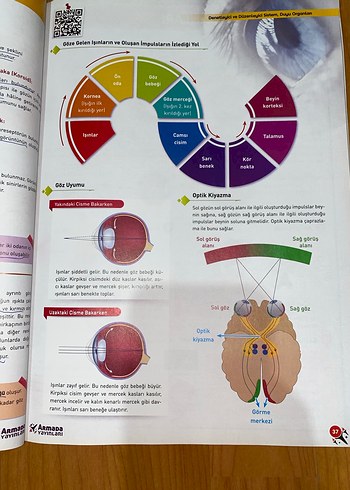 11. Sınıf Biyoloji Konu Kitabı HİÇ KULLANILMAMIŞ - Görsel 5