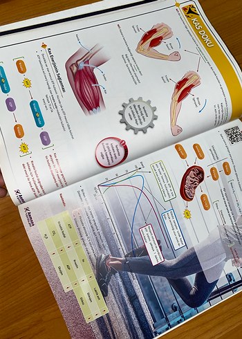 11. Sınıf Biyoloji Konu Kitabı HİÇ KULLANILMAMIŞ - Görsel 8