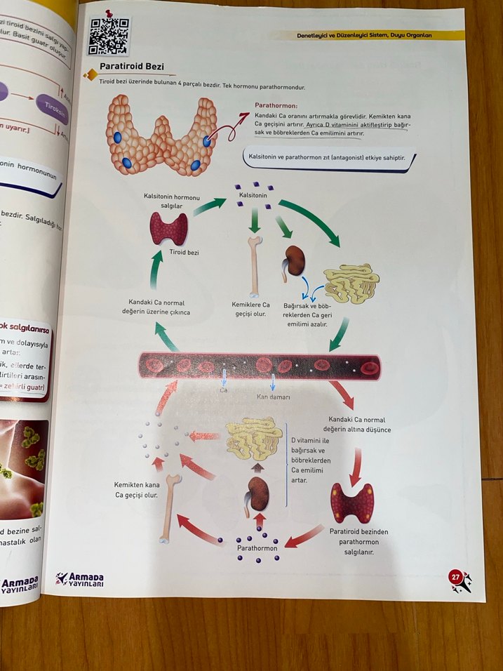 11. Sınıf Biyoloji Konu Kitabı HİÇ KULLANILMAMIŞ - Görsel 4