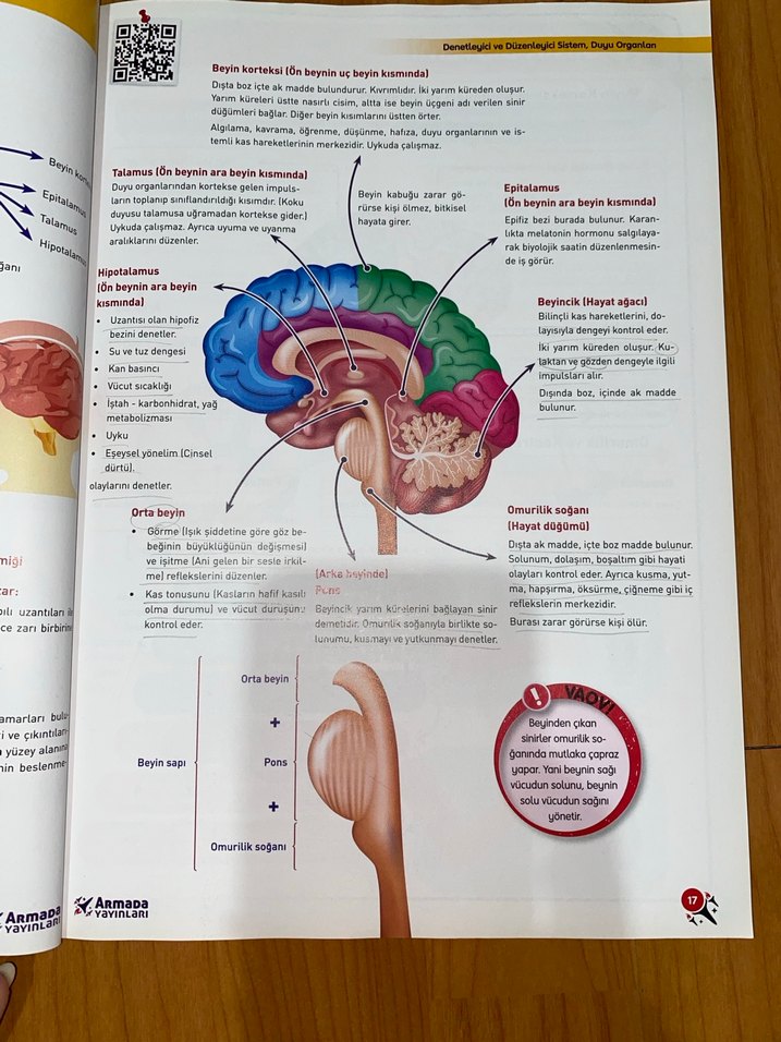 11. Sınıf Biyoloji Konu Kitabı HİÇ KULLANILMAMIŞ - Görsel 3