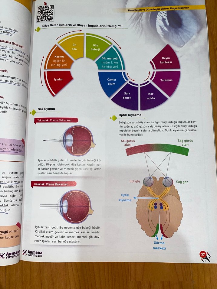 11. Sınıf Biyoloji Konu Kitabı HİÇ KULLANILMAMIŞ - Görsel 5