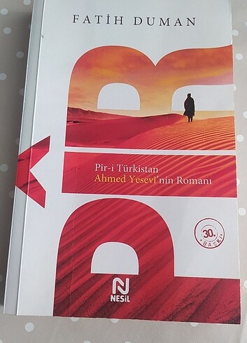 Pir-i Türkistan 