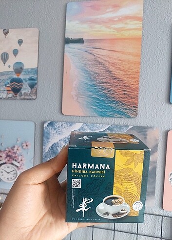 Harmana hindiba kahvesi
