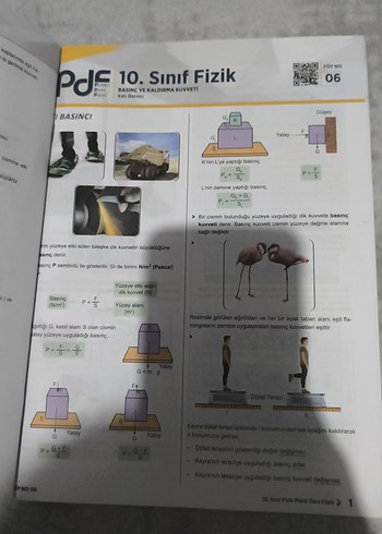  Eğitim Vadisi 10. Sınıf Fizik planlı ders föyü