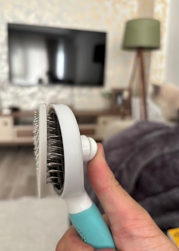 Pastel Mavi Kedi Tüy Fırçası - Görsel 3