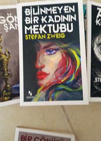  Beden Stefan zweig serisi zweigin bir çok eseri bu sette var