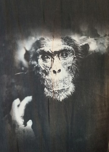 maymun baskılı yazlık elbise - Görsel 2