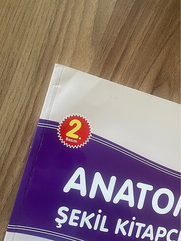  Beden Anatomi şekil kitapçığı tus hazırlık