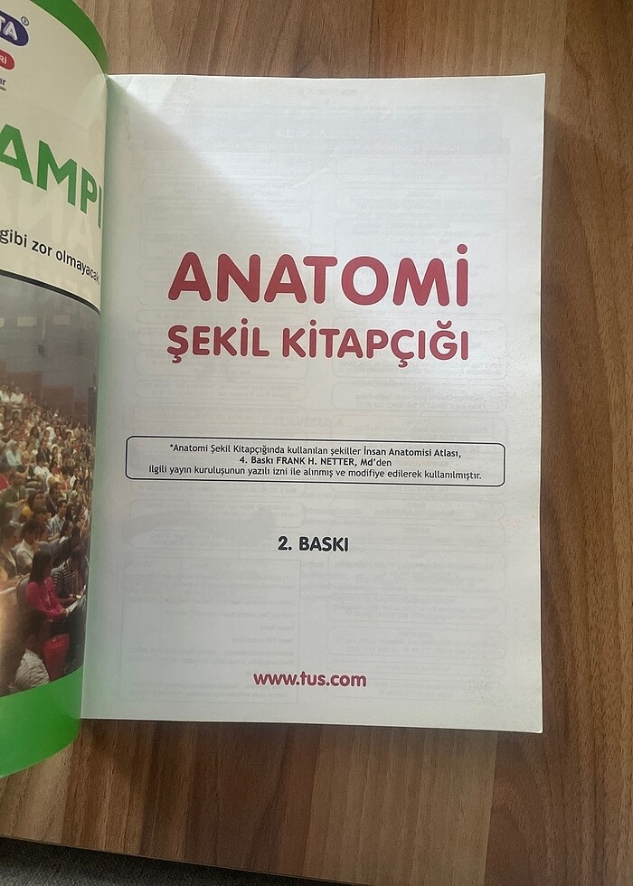 Anatomi şekil kitapçığı tus hazırlık - Görsel 5