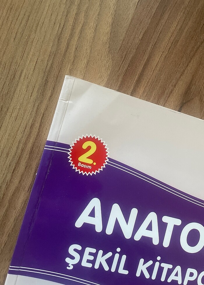 Anatomi şekil kitapçığı tus hazırlık - Görsel 3