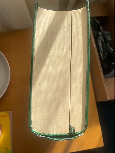 Deyrebiyi kebir - Görsel 2