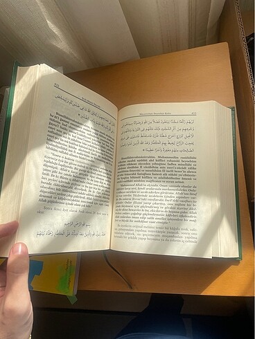 Deyrebiyi kebir - Görsel 4