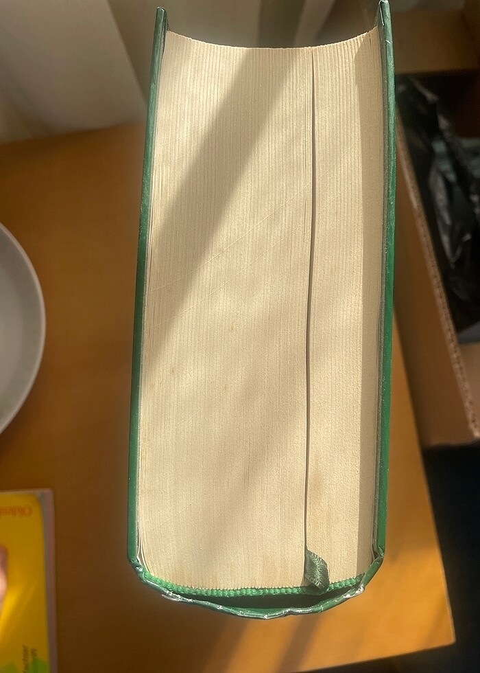 Deyrebiyi kebir - Görsel 2