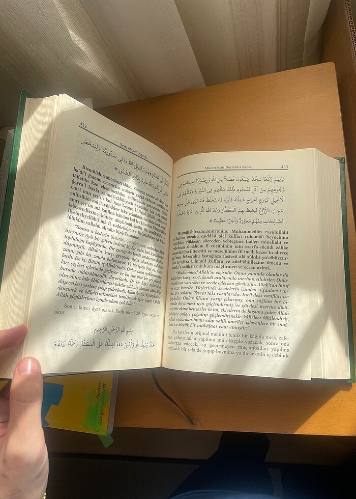 Deyrebiyi kebir - Görsel 4