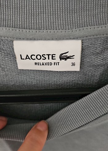 Lacoste Lacoste Gri Kadin Sweatshirt