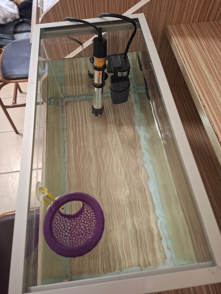 Her şeyi hazır akvaryum seti - Görsel 2