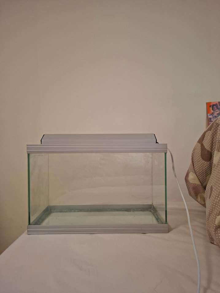 Işıklı akvaryum - Görsel 3