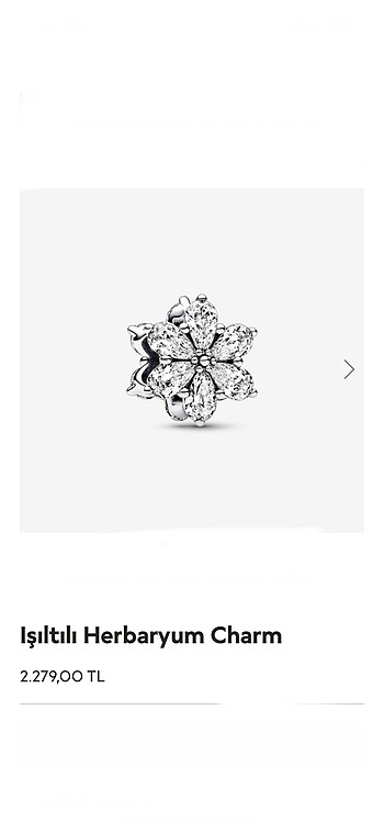 Işıltılı herbaryum charm