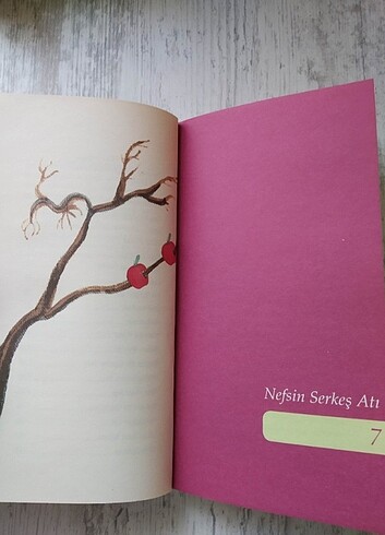 Çölde Kanat Sesleri / Ahmet Efe / Genç Okur Yayınları - Görsel 5