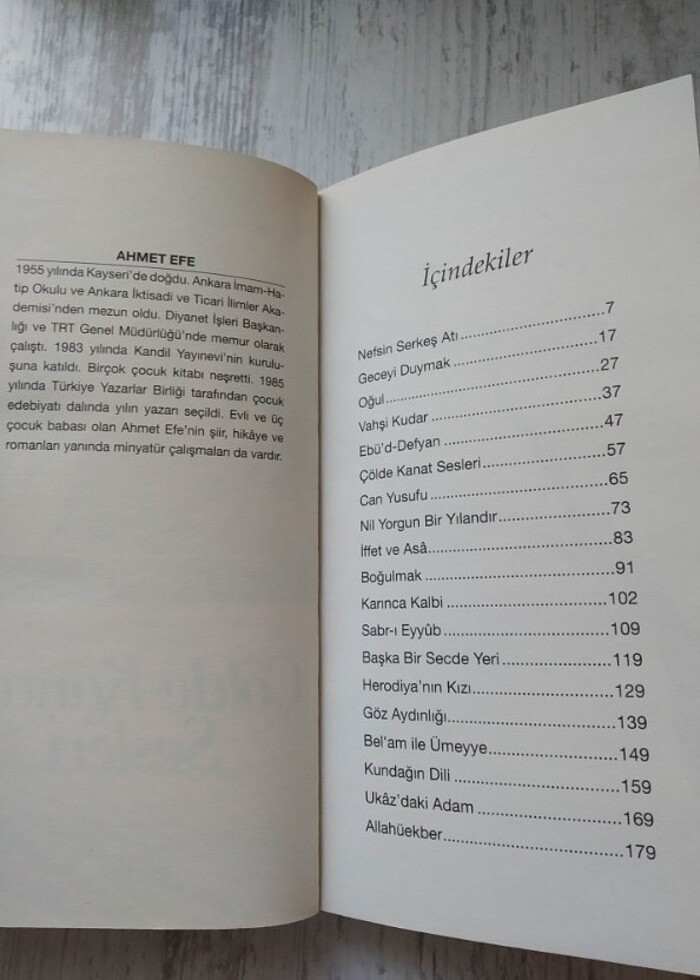 Çölde Kanat Sesleri / Ahmet Efe / Genç Okur Yayınları - Görsel 4