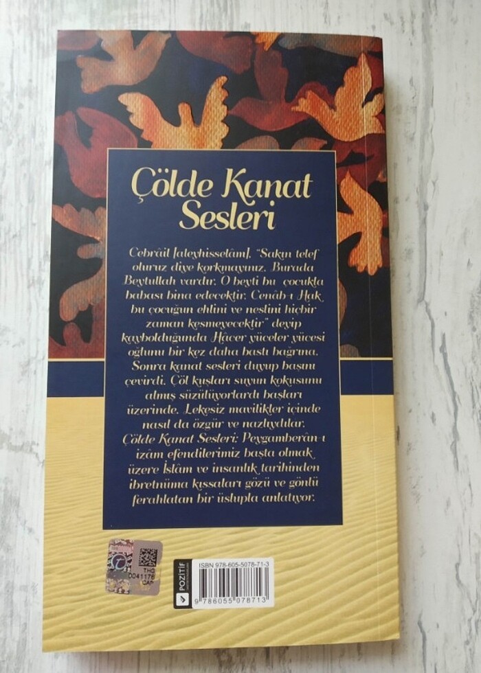 Çölde Kanat Sesleri / Ahmet Efe / Genç Okur Yayınları - Görsel 2