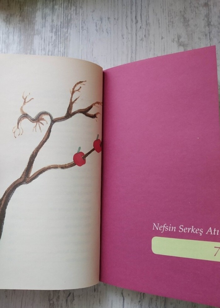 Çölde Kanat Sesleri / Ahmet Efe / Genç Okur Yayınları - Görsel 5