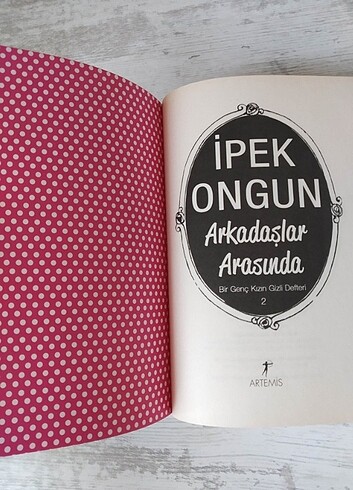 Beden Renk Arkadaşlar Arasında/Bir Genç Kızın Gizli Defteri 2/İpek Ongun