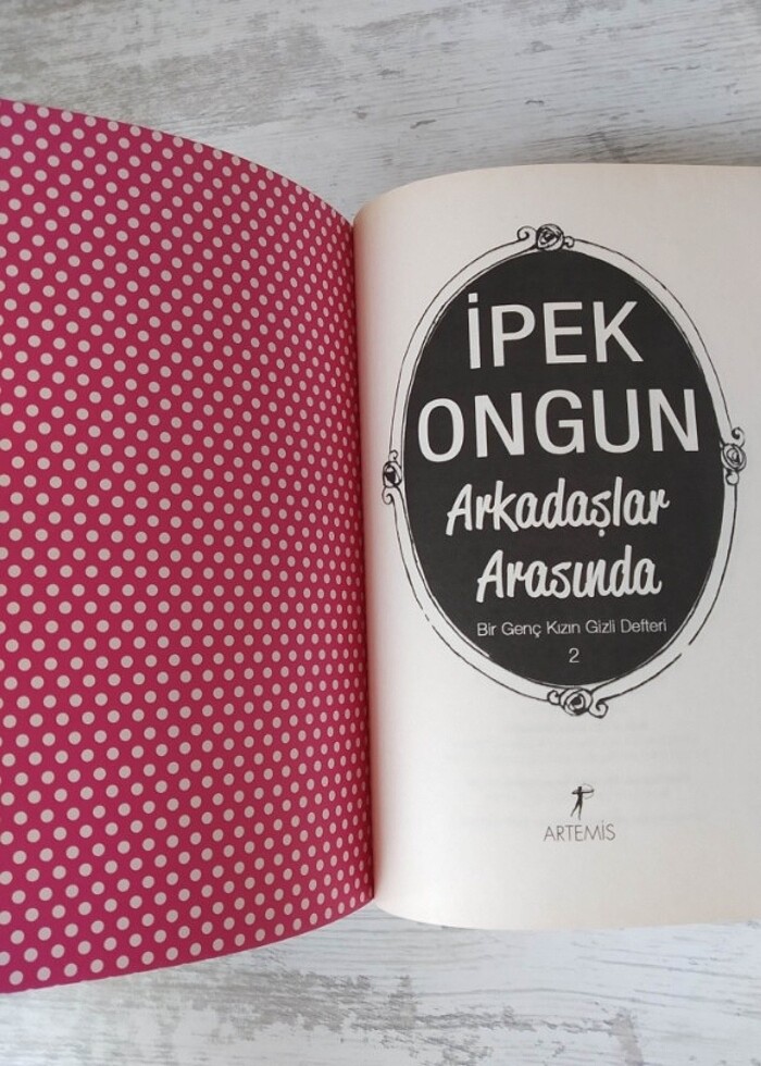 Arkadaşlar Arasında/Bir Genç Kızın Gizli Defteri 2/İpek Ongun - Görsel 4