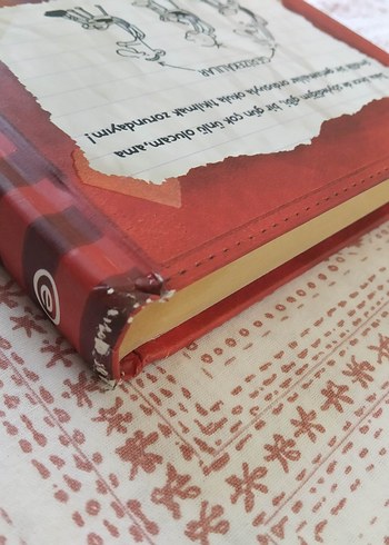 Saftirik Greg'in Günlüğü - Jeff Kinney - Görsel 5