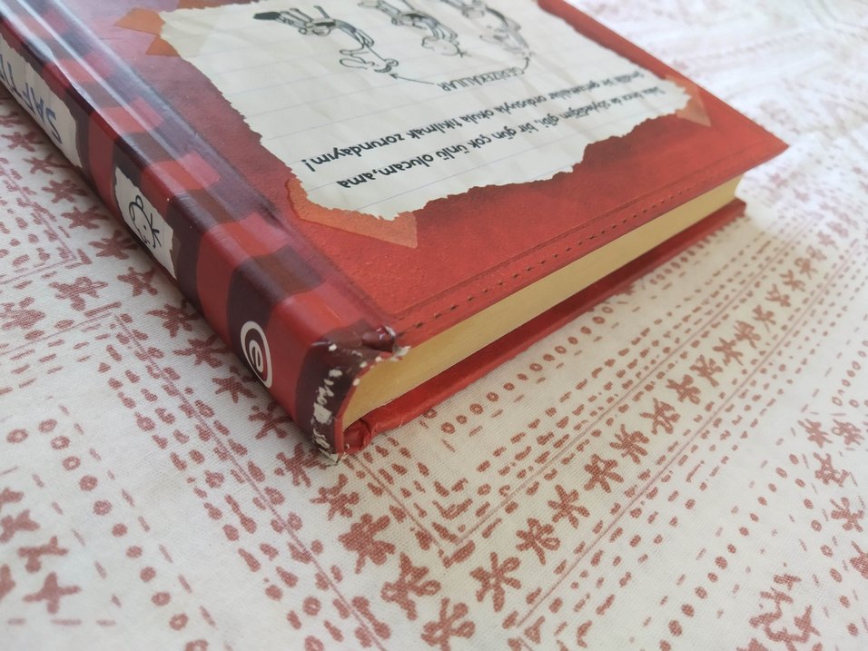 Saftirik Greg'in Günlüğü - Jeff Kinney - Görsel 5