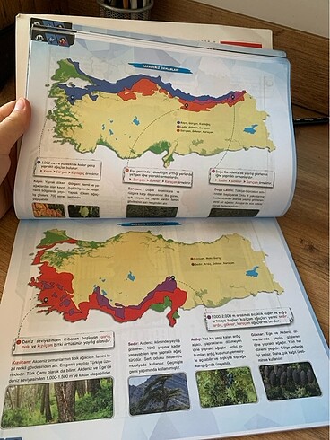 Beden Renk Coğrafyanın kodları