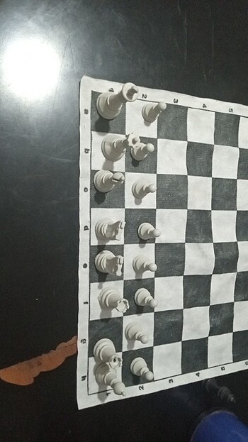 Satranç takımı  - Görsel 2