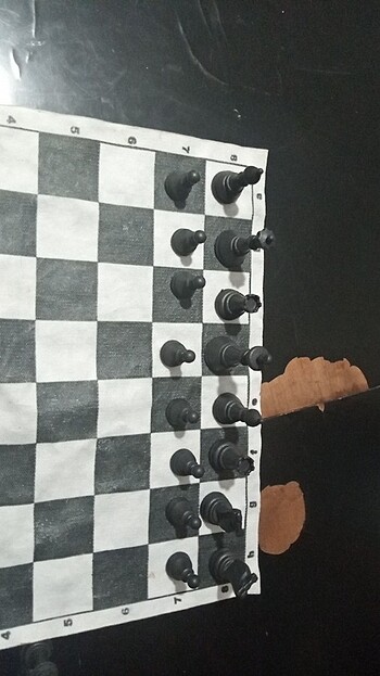 Satranç takımı  - Görsel 3