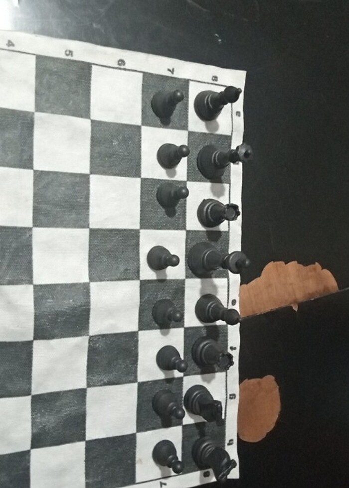 Satranç takımı  - Görsel 3