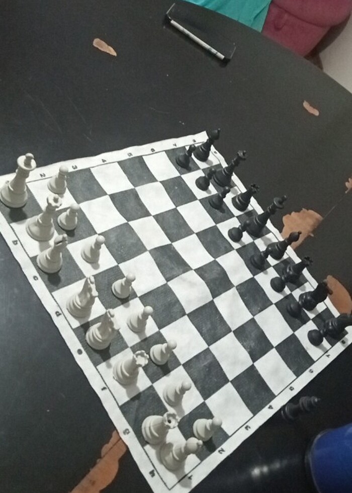 Satranç takımı  - Görsel 4