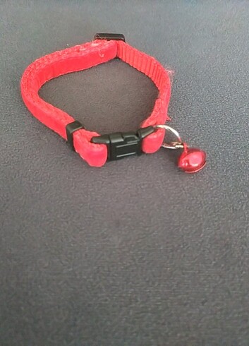 Zilli Kedi Tasması - Görsel 2