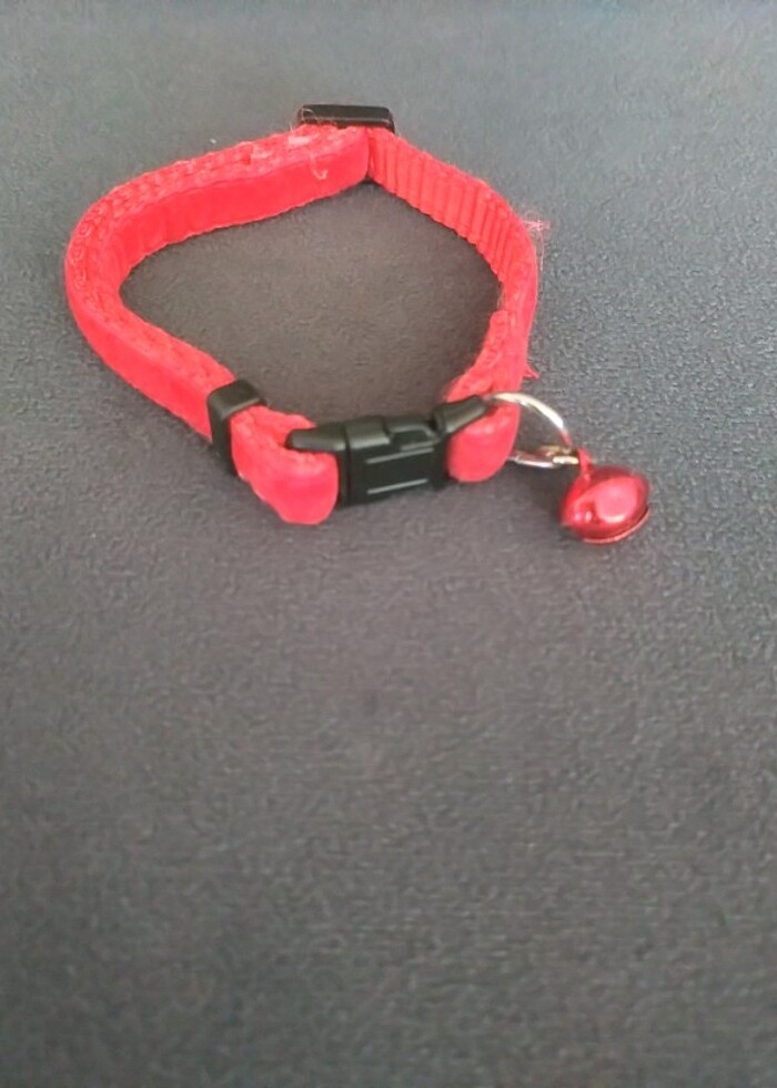 Zilli Kedi Tasması - Görsel 2