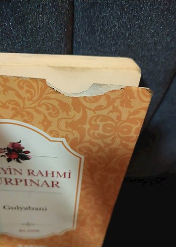 Hüseyin Rahmi Gürpınar - Gulyabani Romanı